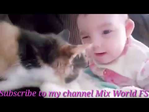 Baby and Cat Funny and Fails - Funny Baby Video(360P) 