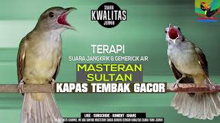 Download lagu Kapas Tembak Gacor || Masteran Sultan || Durasi 3 Jam mp3