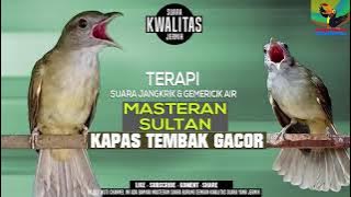KAPAS TEMBAK GACOR DOR OWOR OWOR || MASTERAN SULTAN || DURASI 3 JAM