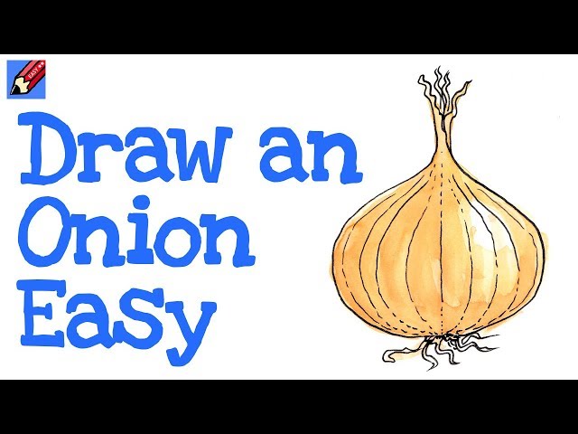 Premium Vector | Step by step to draw an onion drawing tutorial an onion  drawing lesson for children