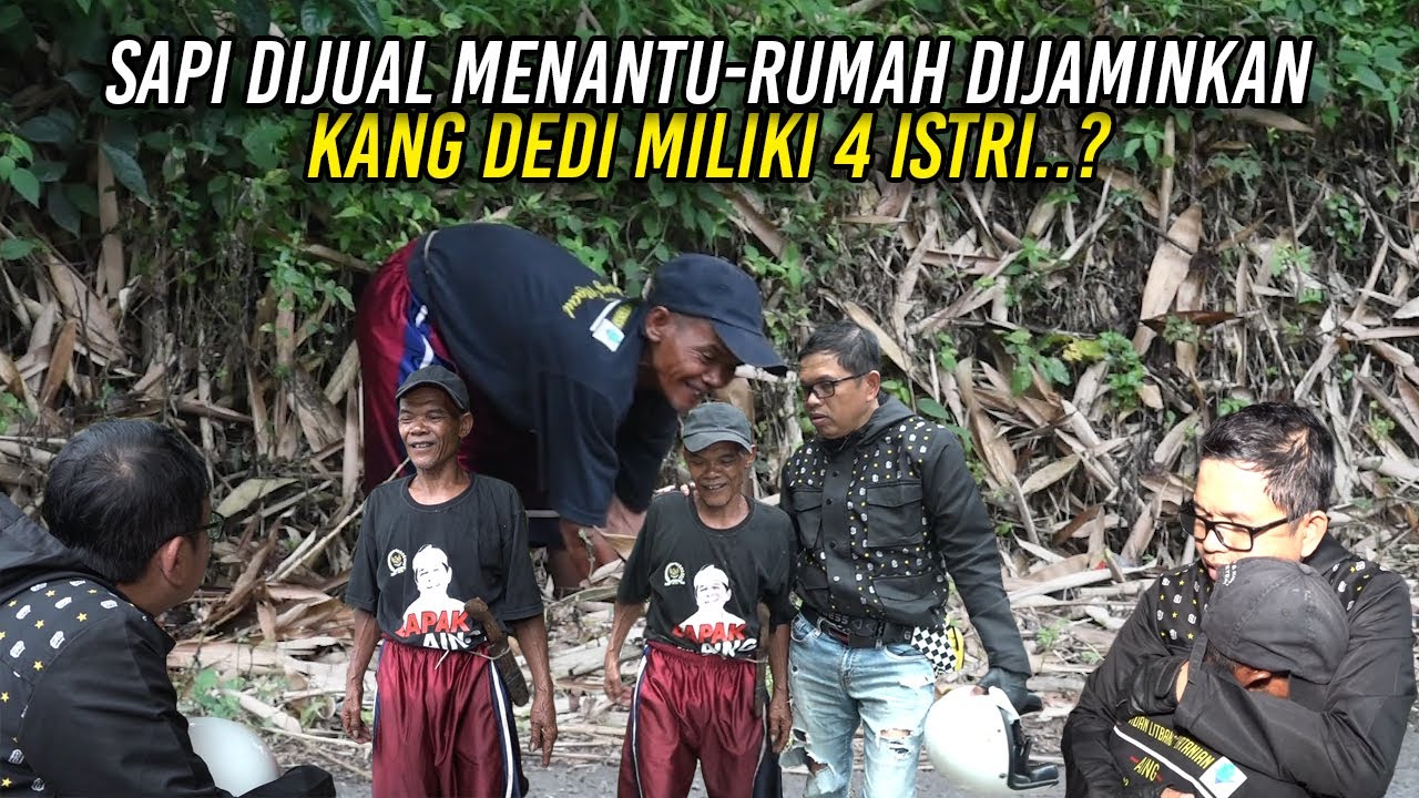 SAPI MELAYANG MENANTU NGILANG | KI ASUM KATANYA WAJAR KANG DEDI ISTRINYA EMPAT