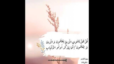 آياتٌ مختارةٌ مِنَ الذكرِ الحكيم سورة الزمر(الآية ٩)#أهل_القرآن_الأبرار