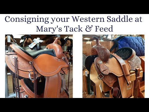 RW Insider's Vlog: New Western Martin Saddlery Tack 