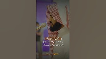 Story of Hazrat Noh|Raad Al kurdi Whatsapp status with Urdu English translation|سورة هود