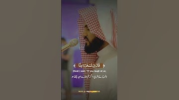 Story of Hazrat Noh|Raad Al kurdi Whatsapp status with Urdu English translation|سورة هود