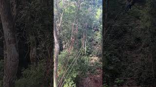 10-year-old ziplining over Yucatan jungle (and needing help to get to the base tower)