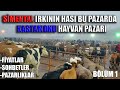 KASTAMONU HAYVAN PAZARINDAKİ FİYATLAR NE ? | SİMENTALİN ANA VATANI BURASI | BÖLÜM 1