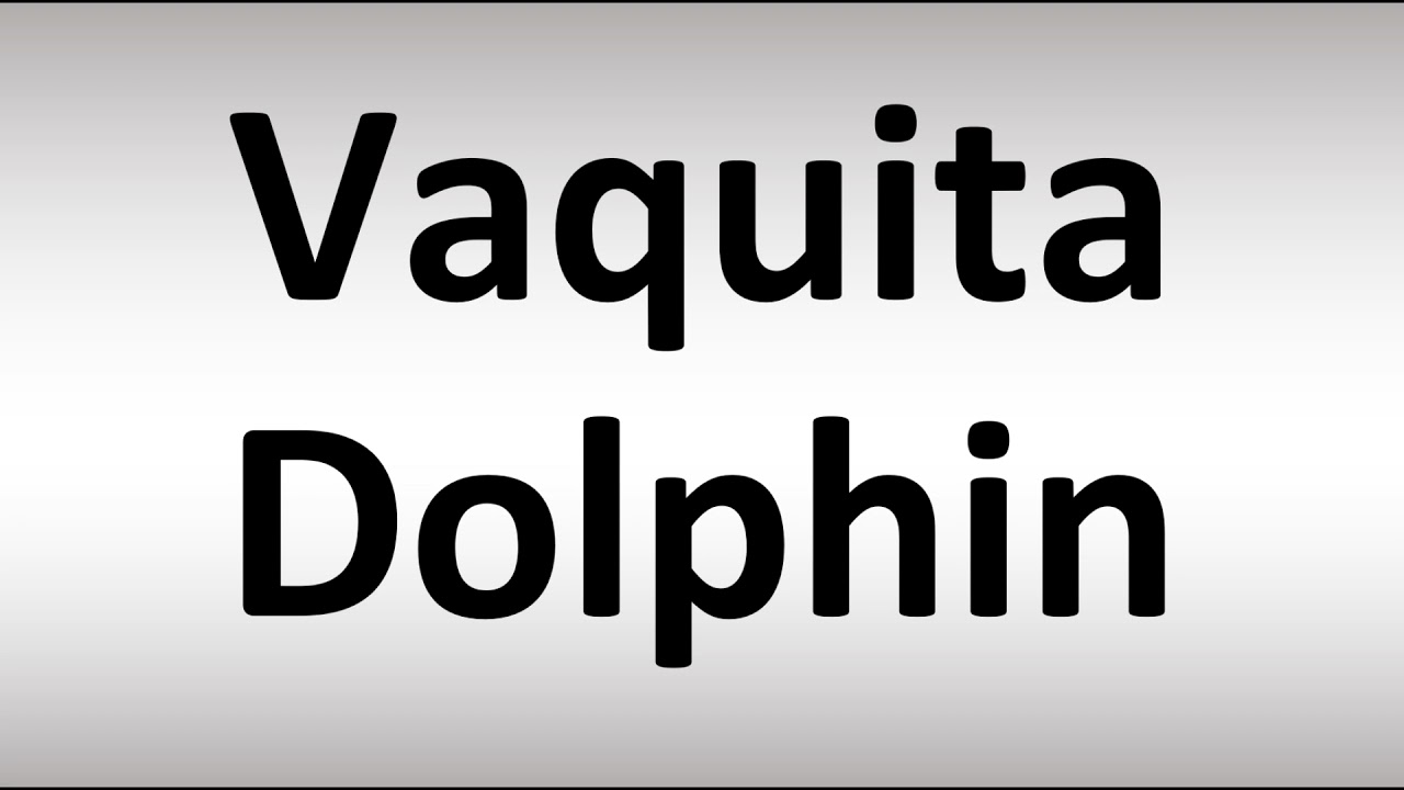 How To Pronounce Vaquita Dolphin