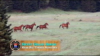 Montana's historicSweetgrass Ranch by Today's Wild West 2,294 views 2 months ago 7 minutes, 16 seconds
