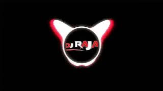 Chhattisgarhi Dhun Dj | Nonstop Cg Banjo Pad Mix | Dj Raja Ngs