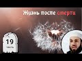 Райские женщины. 19-я часть. Жизнь после смерти | Билял Асад