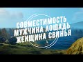 Совместимость мужчина Лошадь и женщина Свинья