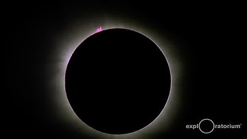 2016 Sonification Excerpt | Total Solar Eclipse | Exploratorium