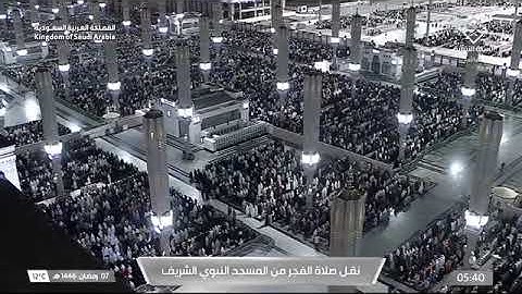 صلاة الفجر للشيخ د. #عبدالباري _الثبيتي 7 رمضان 1446هـ فواتح سورة الحجرات 1-12