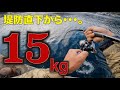 【死闘】大物が釣れる必殺釣法で堤防下から記録級モンスターが…!【九州一周釣り旅】#25