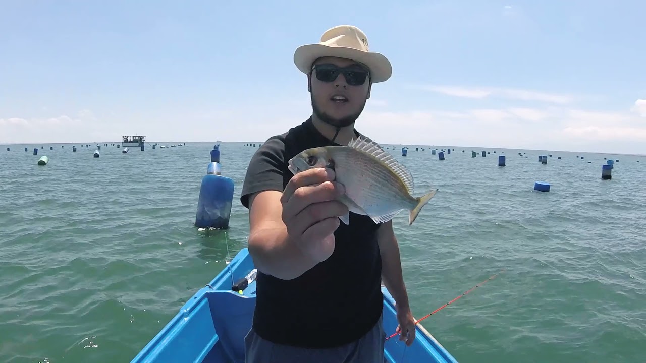 Μία γρήγορη καθετή!