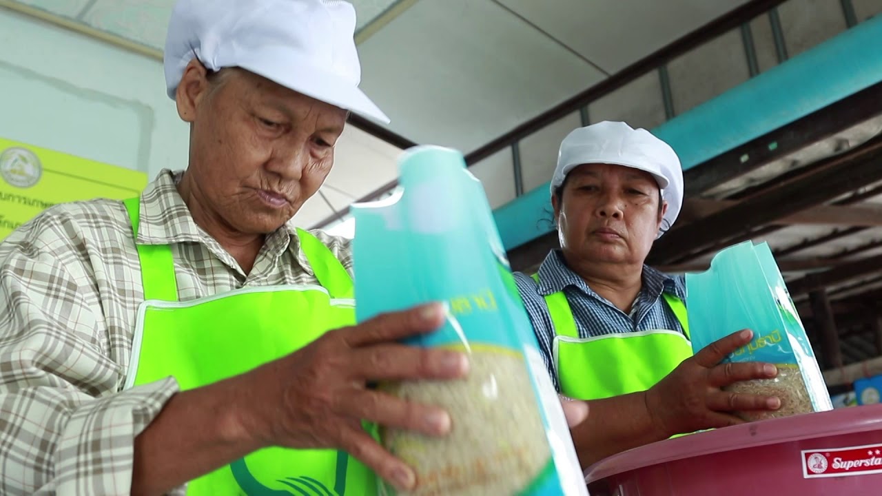 ข้าวหอมปทุม ของดีปทุมธานี –  ร้านอาหารกรีนการ์เด้นท์ รีสอร์ท | ข้อมูลทั้งหมดที่เกี่ยวข้องกับร้านอาหาร ปทุมธานีที่ถูกต้องที่สุด