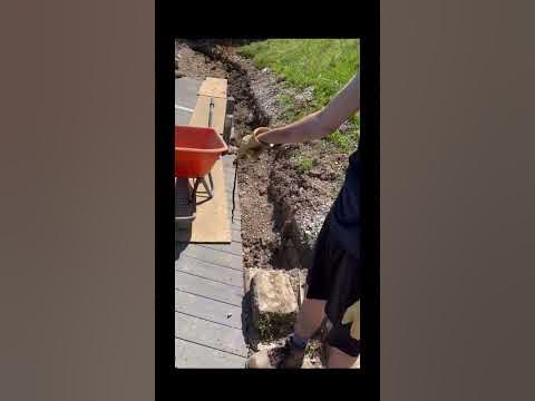 Pretty sure it’s not amphibian #viral #trending #subscribe #