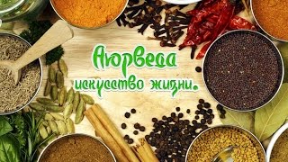 Система здорового питания Курс по Аюрведе Система здорового питания Курс по Аюрведе
