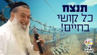 הרב יגאל כהן | בלי פחד💥 תנצח כל קושי בחיים! מחזק בטירוףףף