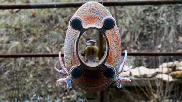 3d printed bird feeder. Bird feeder 4.0 on window. How it works?