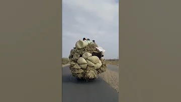 ١٥ يوليو ٢٠٢٤ 