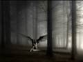 Insomnia -Innocence in Daydreams-