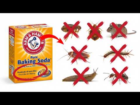 This $1 Powder KILLED Roaches, Ants, Fleas, Bedbugs & More. BANNED 23 States