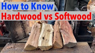 What is the Difference Between Hardwood & Softwood?