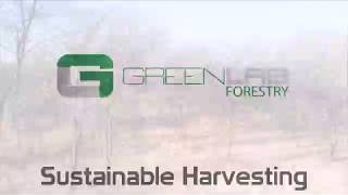 Sustainable Harvesting