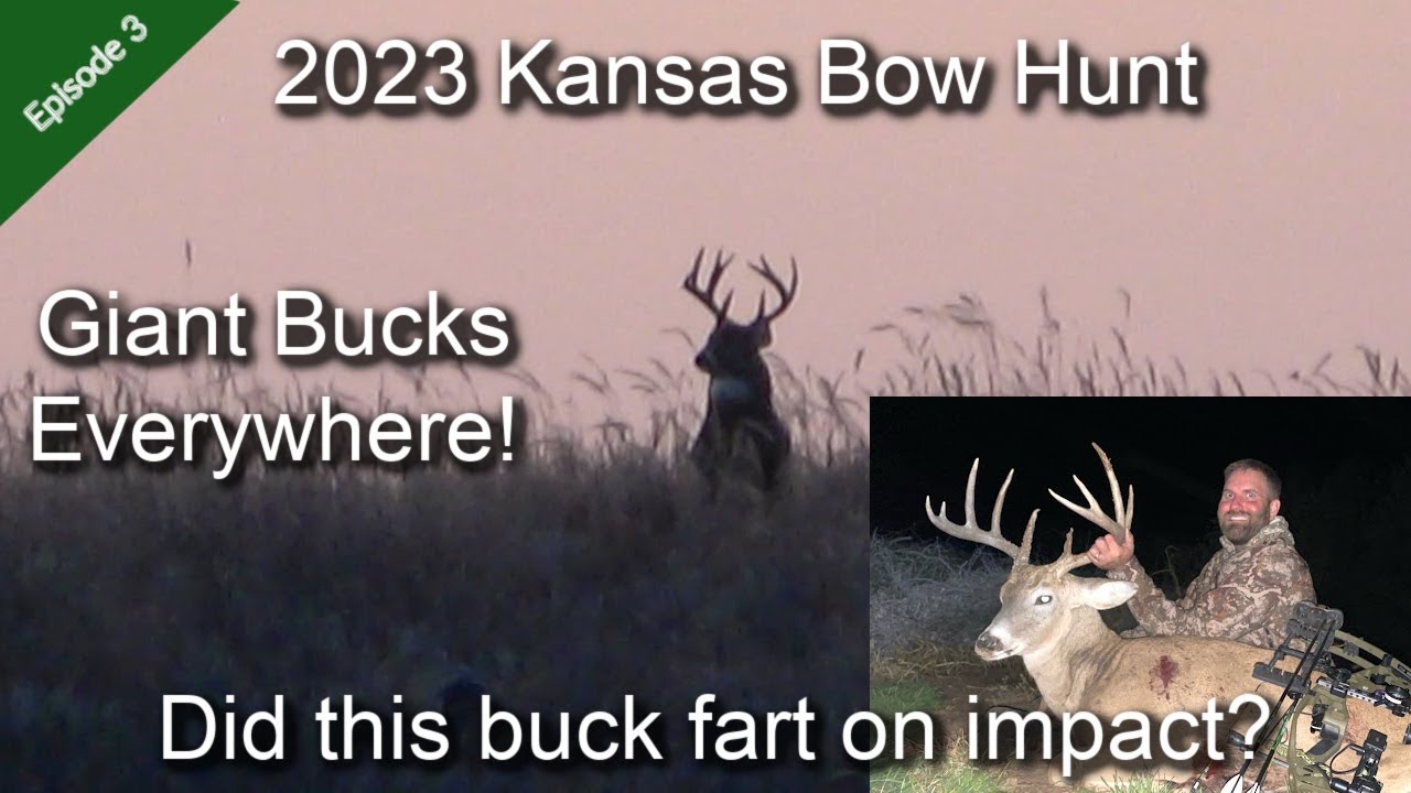 2023 Kansas Bowhunting Success What is that impact sound? Giant