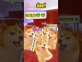 Bloxfruit in the nutshell    bloxfruit  doge chi game bloxfruits