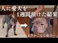 天国へ涙の別れ。1週間預けた愛犬と再会、そして号泣… その姿に衝撃…