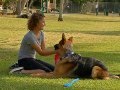 Mi Mascota | Cómo hacer a tu perro más sociable