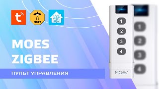Zigbee пульт управления для умного дома Moes на 4 кнопки. Обзор, интеграция в Home Assistant screenshot 1