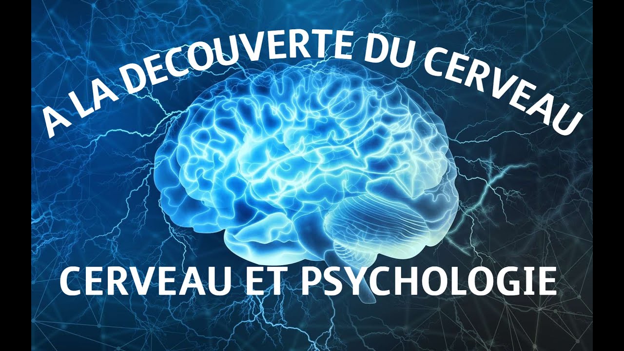 A la découverte du cerveau - 6. Cerveau et psychologie