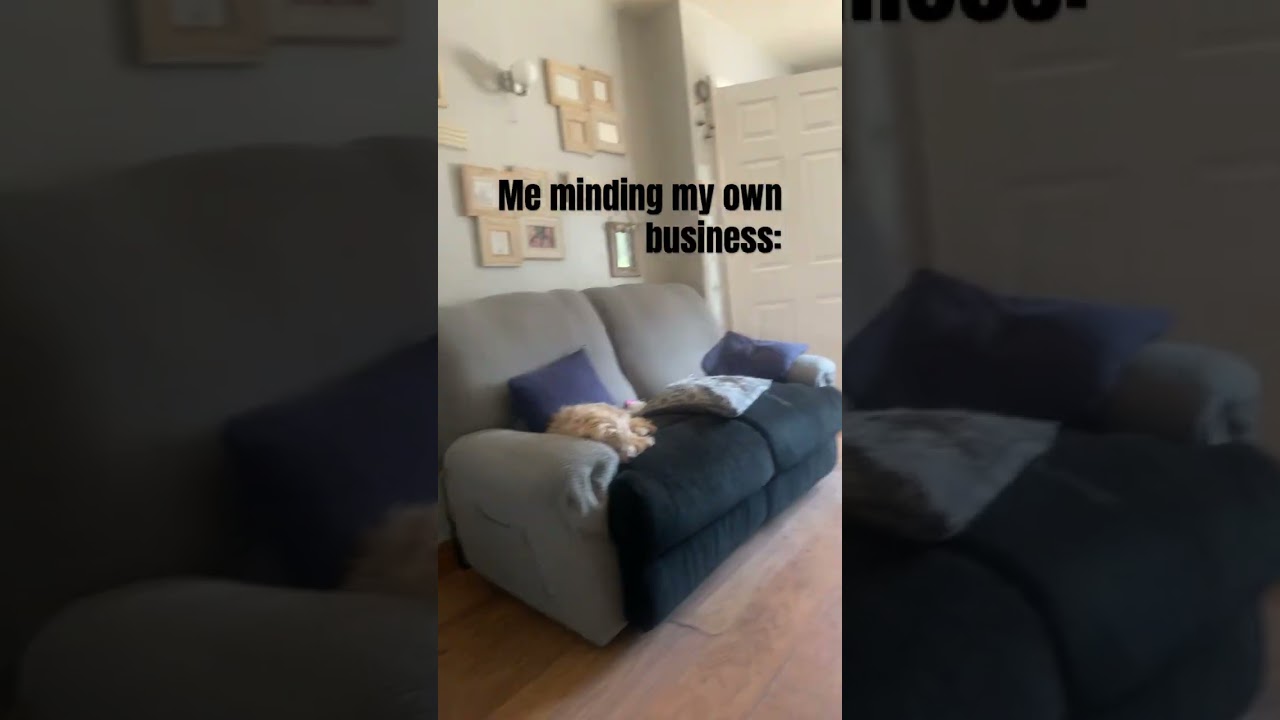 My Bug reference sucks ik