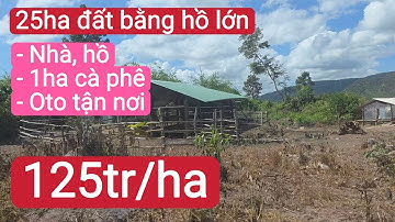 Bán đất nông nghiệp giá rẻ, trồng dâu tằm, cà phê, hồ tiêu, nước đầy đủ, bất động sản đất rẫy
