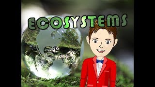 ECOSYSTEMS - The Science KID