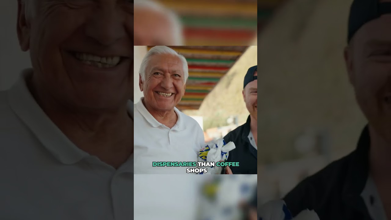 Learning about the Cannabis Laws in Colombia