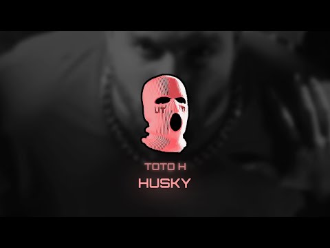 Toto H - Husky