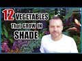 12 Vegetables That Grow in Shade