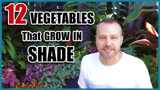 12 Vegetables That Grow in Shade