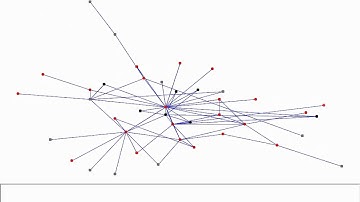 Example of Dynamic SNA