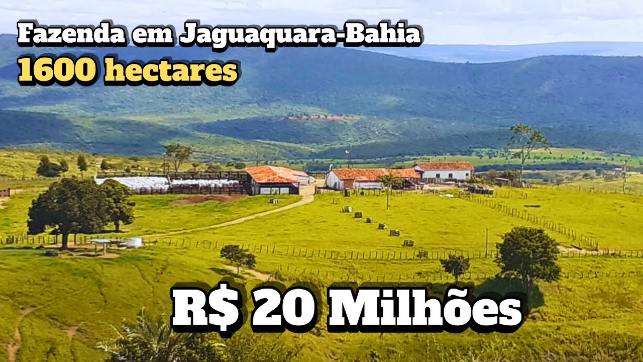 A fazenda de Pecuária que está chamando atenção de investidores na Bahia — 1600 ha de pura estrutura