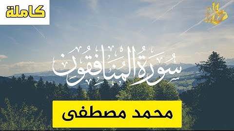 سورة المنافقون كاملة - تلاوة خاشعة | القارئ محمد مصطفى