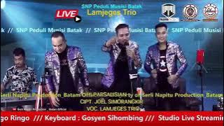 Parsalisian cover Lamjeges Trio