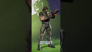 Which Skins Do You Like? Punisher Vs Winter Soldier