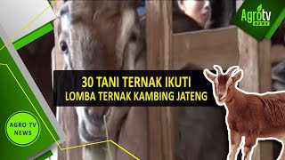 makalah ternak kambing pdf - mqdefault makalah ternak kambing pdf - mqdefault