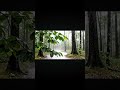 #rain #rainsounds #sleep #sleepmusic #deepsleep